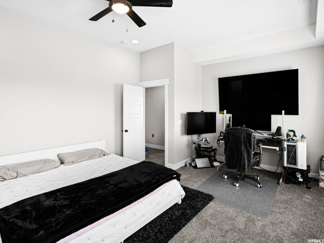 Master BEd