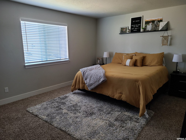 Large Primary bedroom