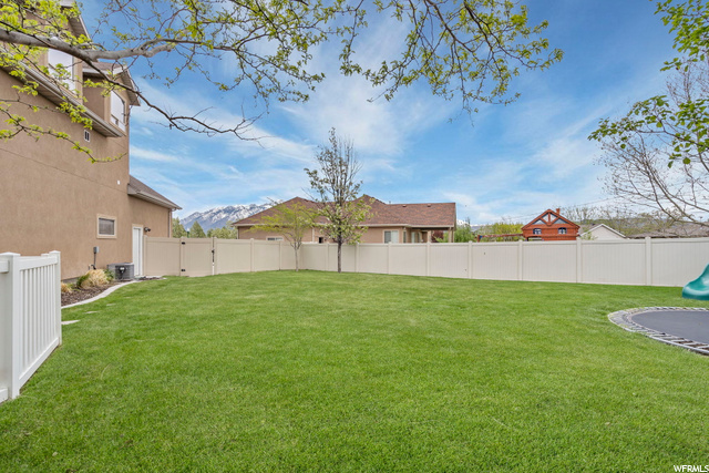 South Backyard