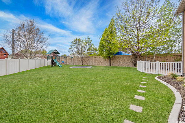 South Backyard