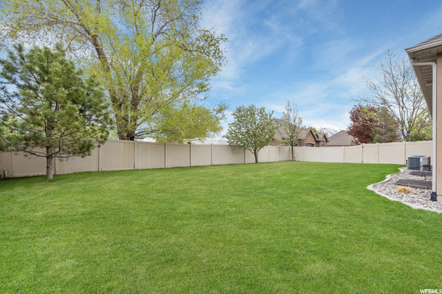 North Backyard