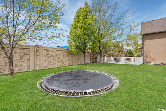 South Backyard
