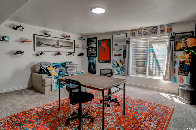 Finished man Cave
