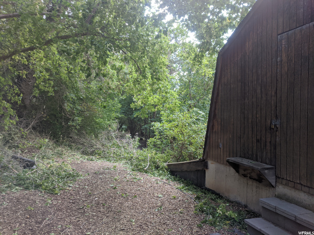 Road by barn