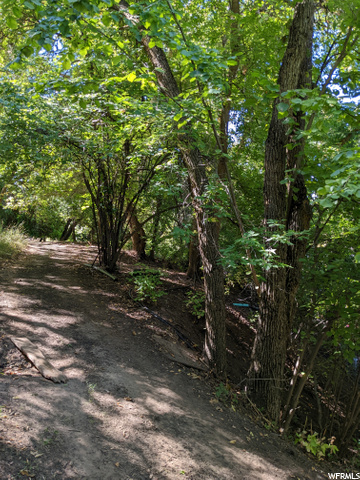 Road on upper part of lot