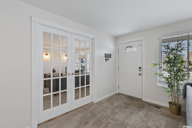 Entry / Office Doors