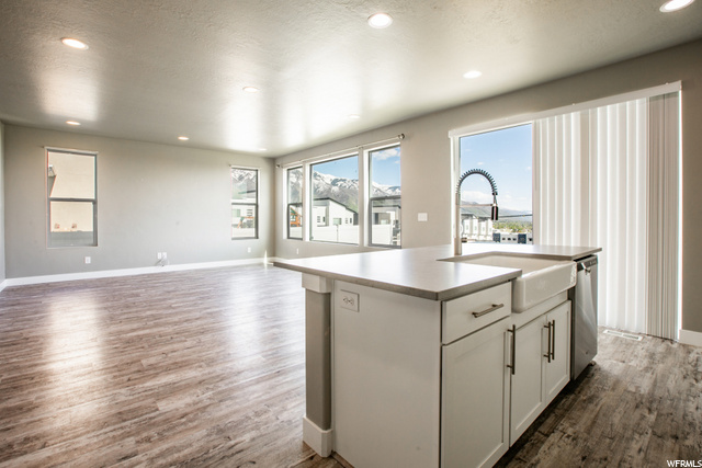 Kitchen/Family Room