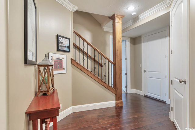 Lower Level Stair/Hallway