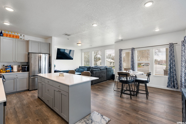 Open Concept Kitchen/Family Room