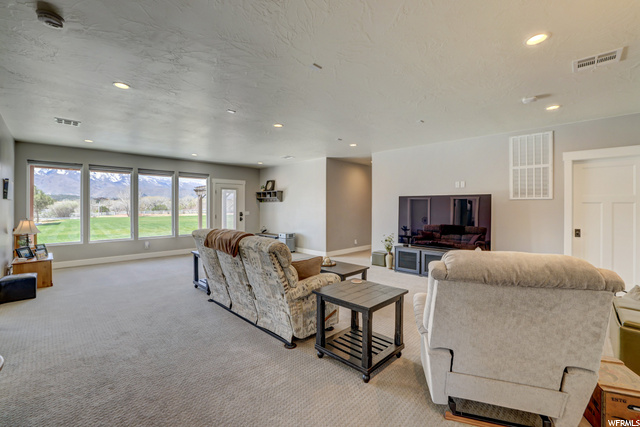 Basement Family Room