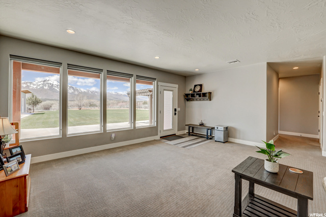 Downstairs Family Room