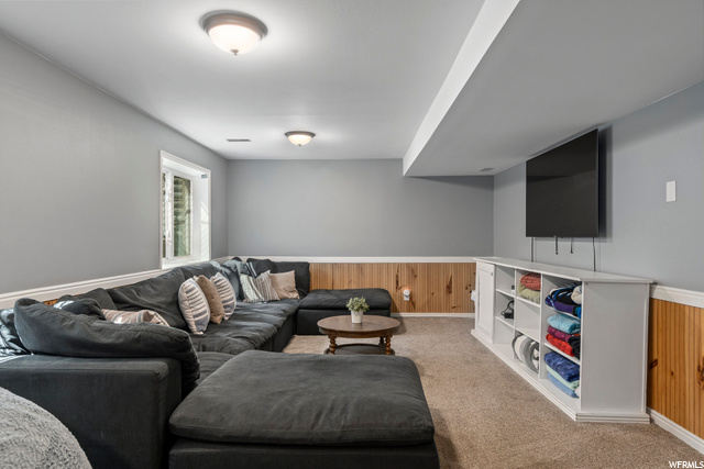 Basement Family Room