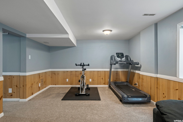 Basement Family Room