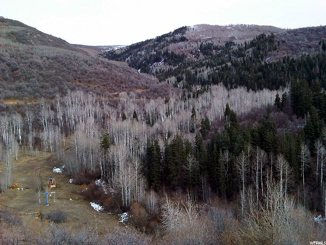 Photo #1