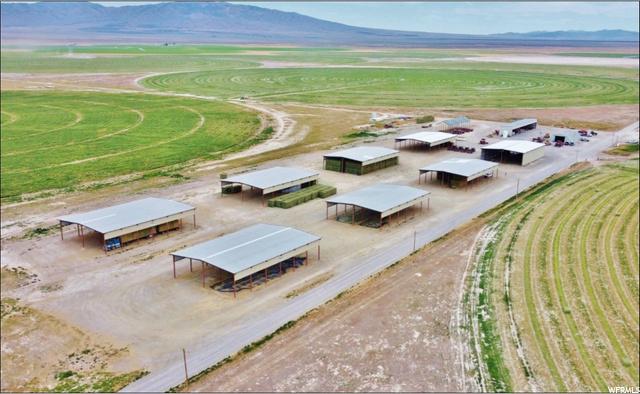 5,260-acre hay farm located west of Snowville, Utah (Box Elder County). 3,765 acres under 36 Zimmatic pivots-offered in parts: Cedar Mountain West: 22 pivots irrigating 2,179 acres from seven deep wells.  Cedar Mountain East: 14 pivots irrigating 1,556 acres from three deep wells. Enormous water rights for up to 13,055 acre-feet/year.  Water rights and water systems are all connected, allowing flexibility to use water from any well on any field.  Growing alfalfa, orchard grass, timothy hay, and oats Improvements include three homes, large hay barns, storage buildings, shops, grain silos, etc.