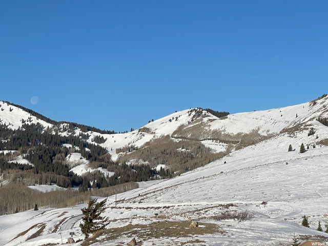 7 Red Cloud Trl, Deer Valley, UT 84060 — photo 3