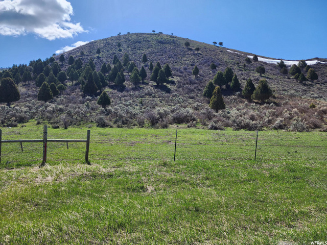 Here is the place to build your dream home.  Lots 60,61,62 and 63. Great wildlife, hunting and an archery hunters dream. 1/2 mile to the BLM gates. This property already has a well and power on lot 63. 20 minutes to Lava Hot Springs and 10 minutes in to Soda Springs. There is a water line that runs through property that has a 10 foot easement on both sides. Panels and horse shelter not included.