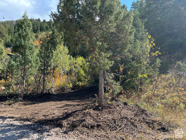 Trailer or Camping Site. Located within a few feet of Rocky Mountain power pole.