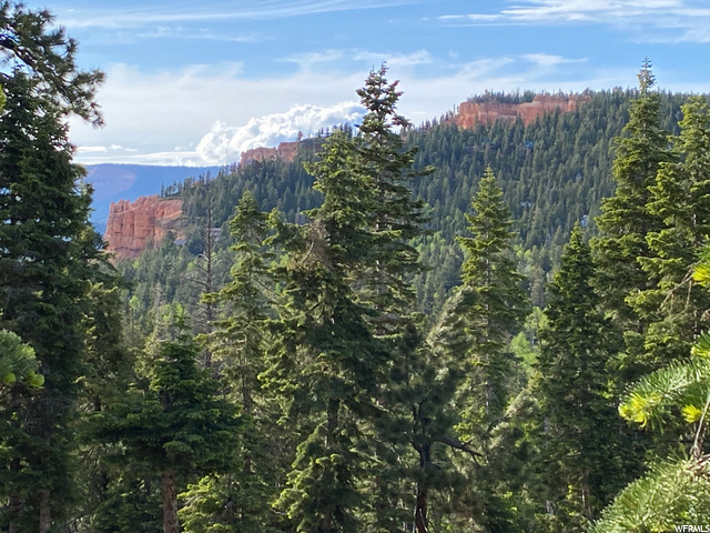 1095 W Big Horn Cir., Duck Creek Village, UT 84762