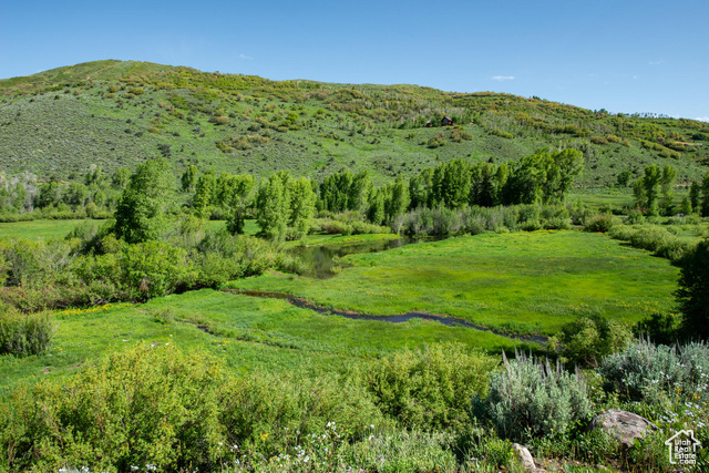 5050 E WEBER CANYON RD, Oakley, Utah 84055, ,Land,Agriculture,5050 E WEBER CANYON RD,1884884