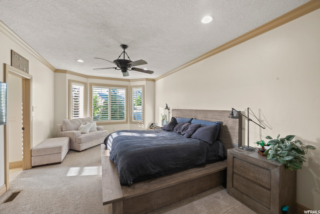 Primary Bedroom featuring natural light, a ceiling fan, and carpet