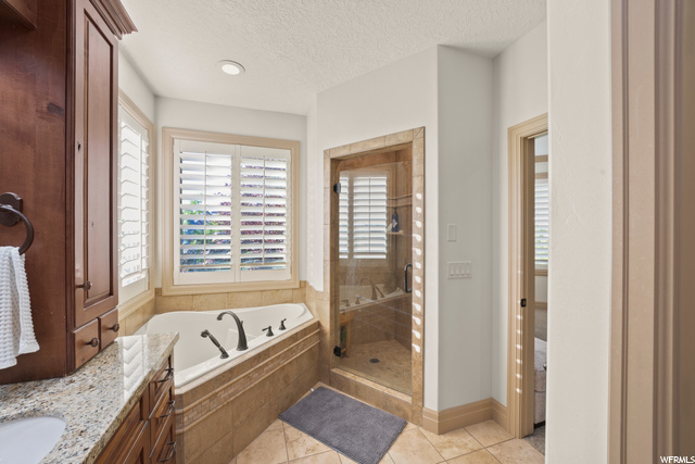 Primary Bathroom with tile flooring, natural light, separate shower and tub enclosures, and vanity