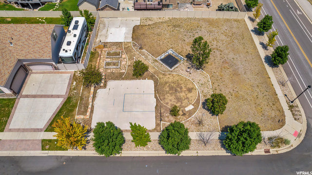 View of bird's eye view