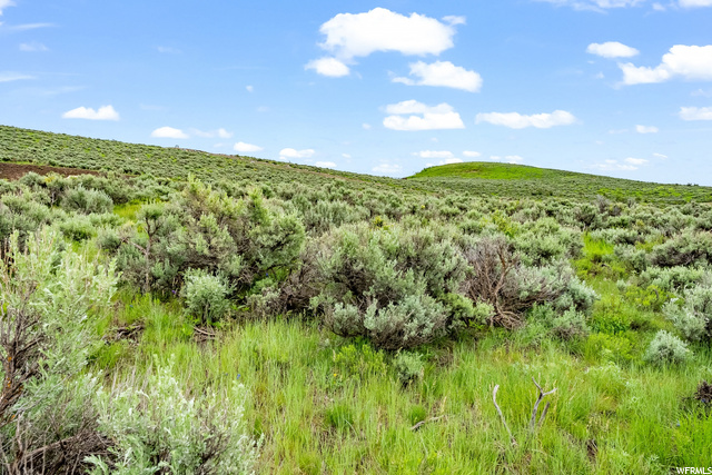 Photo 8 for MLS #1887842 at 3190 Hills Ridge Rd