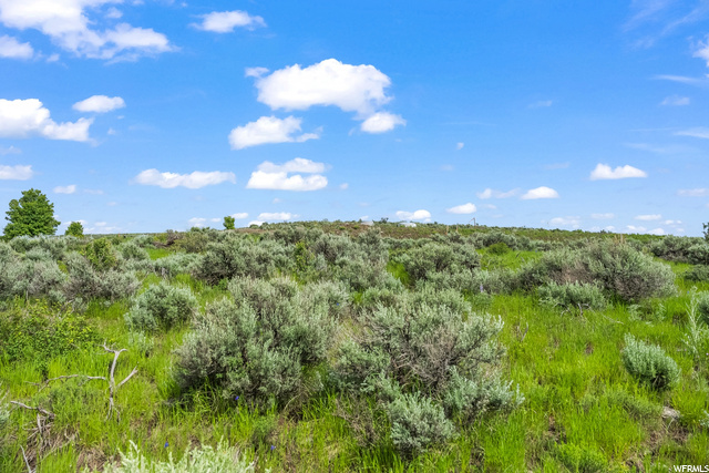 Photo 19 for MLS #1888493 at 6931 Willow Pond Ln #41