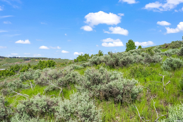 Photo 18 for MLS #1888493 at 6931 Willow Pond Ln #41