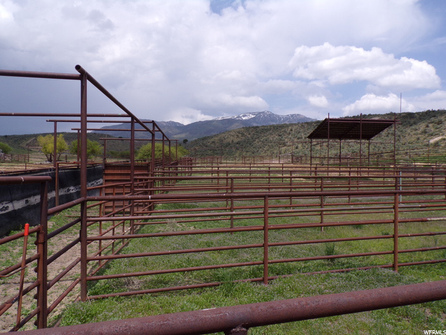 Malad City, Idaho 83252, ,Farm,1891379