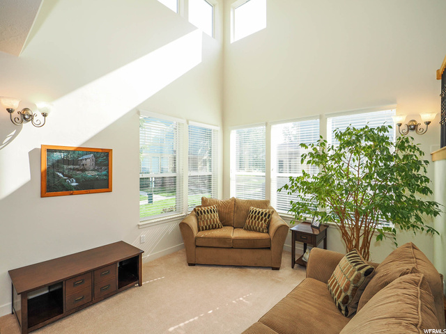 Carpeted living room featuring plenty of natural light