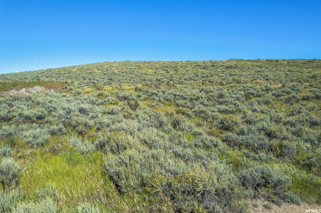 Photo 17 for MLS #1901355 at 3214 Hills Ridge Rd