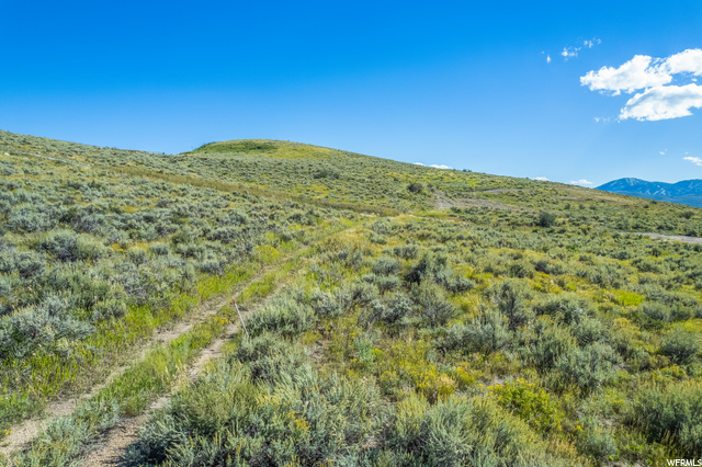 Photo 18 for MLS #1901355 at 3214 Hills Ridge Rd