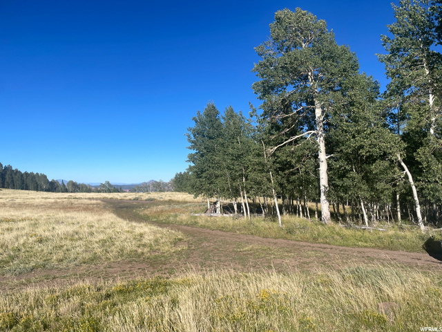 Brian Head, Utah Prime vacant lot just outside of Brian Head, offering an exceptional opportunity to build your dream mountain retreat. Nestled near this charming resort town, the property boasts panoramic views of the surrounding peaks and easy access to outdoor adventures, including hiking, and more. With a serene and picturesque setting, this parcel is a canvas for creating a mountain escape tailored to your vision. Don't miss the chance to own a piece of Brian Head's captivating landscape and embrace the mountain lifestyle. Buyer to verify ALL.