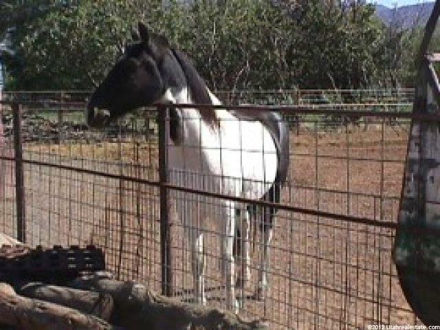 248 E 100 S, Meadow, UT 84644 — photo 4