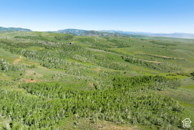 Photo 86 for MLS #1904354 at 17017 Ant Flat Rd