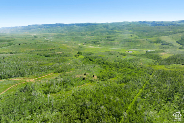 Photo 87 for MLS #1904354 at 17017 Ant Flat Rd