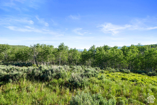 Photo 88 for MLS #1904354 at 17017 Ant Flat Rd