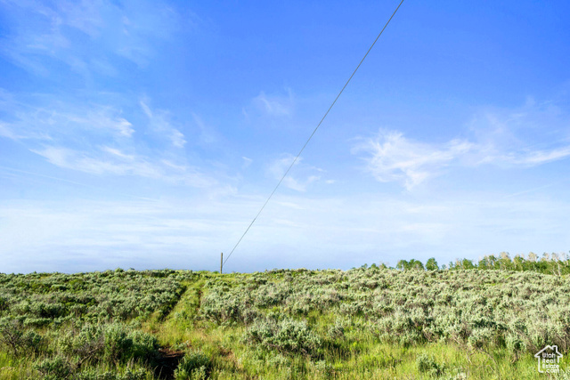 Photo 66 for MLS #1904354 at 17017 Ant Flat Rd