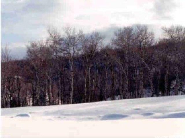 1355 Red Hawk Trl #35, Park City, UT 84098 — photo 2