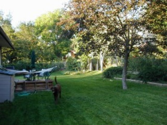 295 Briarwood Dr, Centerville, UT 84014 — photo 4