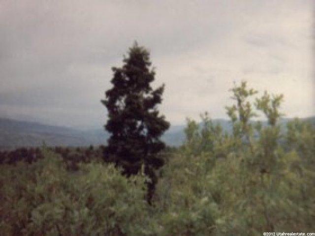189 Lone, Mt Pleasant, UT 84647 — photo 3