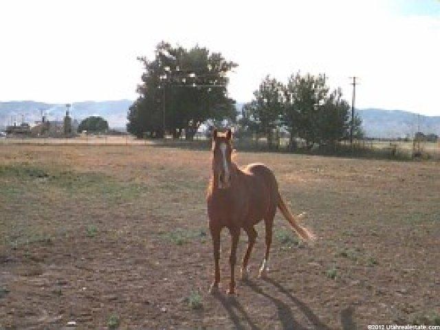 963 N 400 E, Nephi, UT 84648 — photo 8