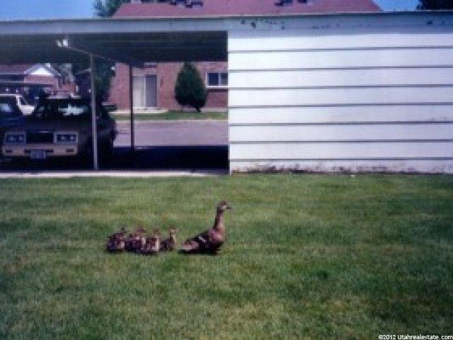 4752 S 700 E #104, Murray, UT 84107 — photo 3
