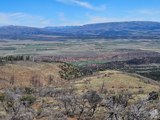 Beautiful Property Views