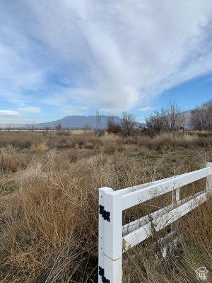 Photo 5 for MLS #1976688 at 2794 W Gentile