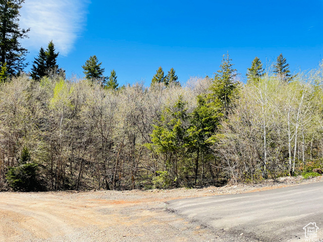 Trees and seclusion! Year round access with all the perks! This lot has been surveyed and is ready for your dream home. Direct access to national forest. Culinary water is available. This lot also offers year round access.