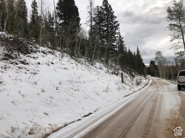 This is the Forest Service Rd 058 the property is along the left side