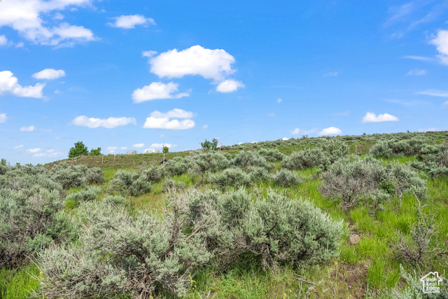 Photo 21 for MLS #1983257 at 6909 Willow Pond Ln #40
